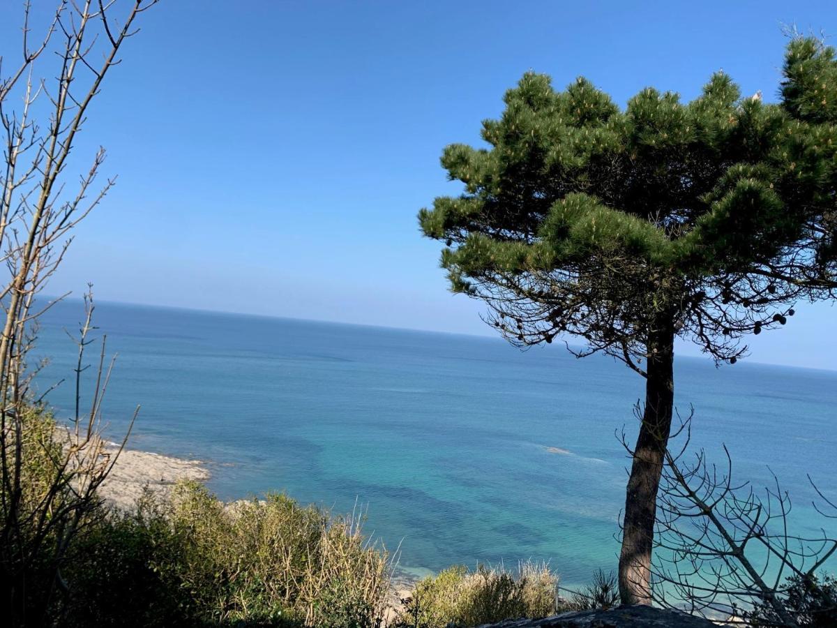 L'Annexe, F2 Avec Jardin, 800 M De La Plage Donville-les-Bains Exterior foto