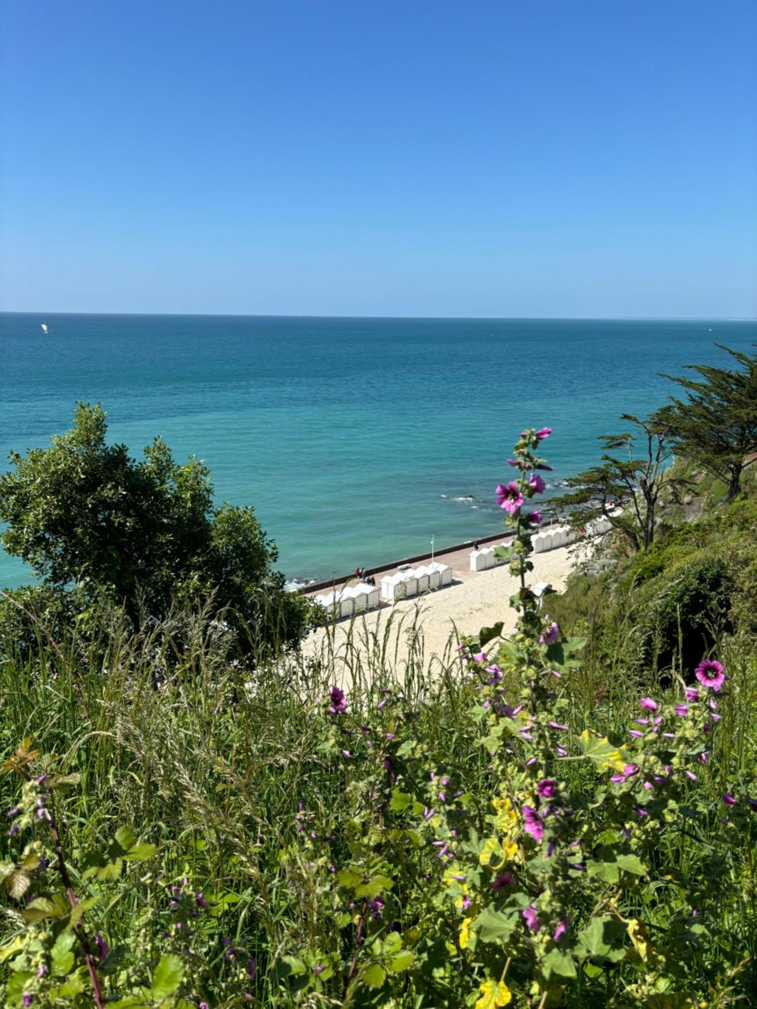 L'Annexe, F2 Avec Jardin, 800 M De La Plage Donville-les-Bains Exterior foto